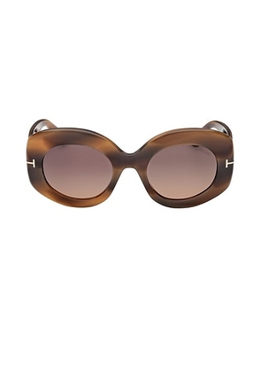 TOM FORD Claudette Sunglasses in Brown & Red - Brown. Size all.