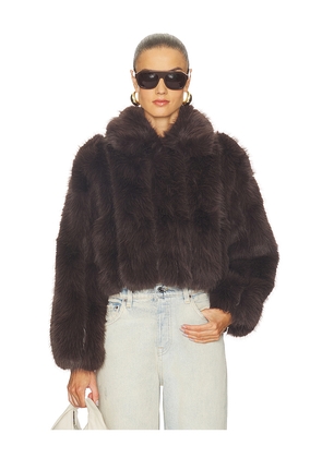 Line & Dot Jax Jacket in Brown. Size M. Also in S.