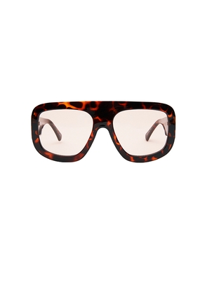 Otra Vail Sunglasses in Brown.