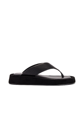 RAYE Chris Sandal in Black. Size 6. Also in 5, 7, 8, 9.