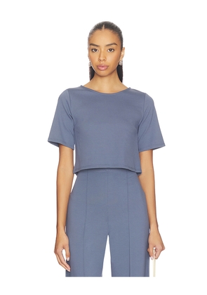 Ripley Rader Ponte Knit Short Sleeve Top in Slate. Size L. Also in M, S, XS.