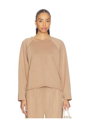 Ripley Rader Oversized Raglan Top in Tan. Size L. Also in M, S, XS.