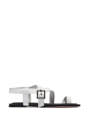 Bernardo Hartshorn toe-ring buckle flat sandals - White