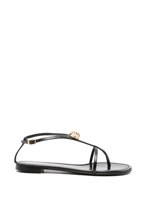 Giuseppe Zanotti hardware-embellished sandals - Black