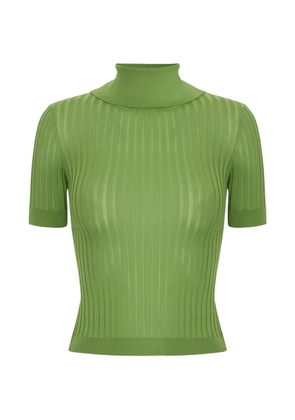 Elisabetta Franchi open-back logo-button sweater - Green