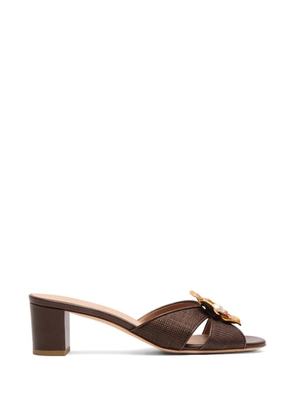 Malone Souliers Suri flower-detail sandals - Brown