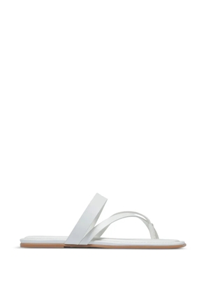 Bernardo Ocana toe-ring thong flat sandals - White