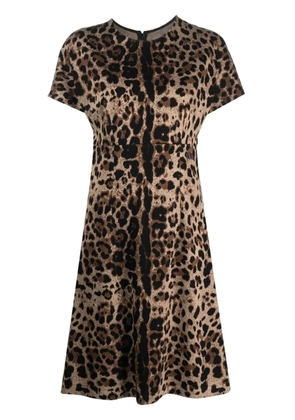 Dolce & Gabbana leopard-jacquard short-sleeved dress - Brown