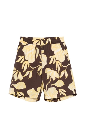 Altea floral-print shorts - Brown