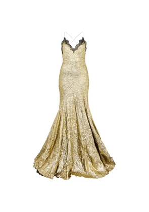 Roberto Cavalli craquelé lace maxi dress - Gold
