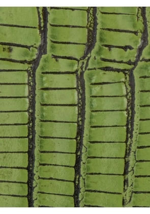 Roberto Cavalli snake-buckle belt - Green