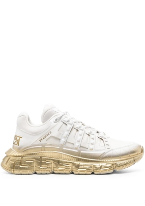Versace Trigreca gradient sneakers - White