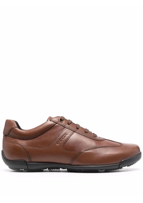 Geox Edgware A low top sneakers - Brown