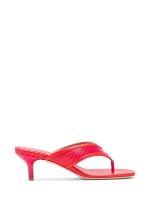 Malone Souliers Koko thong-style sandals - Orange