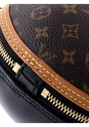 Louis Vuitton Pre-Owned Egg Bag Monogram Canvas and Leather crossbody bag - Brown