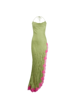Roberto Cavalli lace-trim halterneck maxi dress - Green