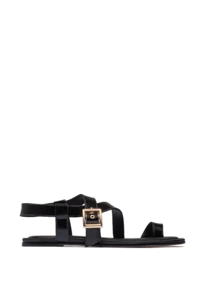 Bernardo Hartshorn toe-ring buckle flat sandals - Black