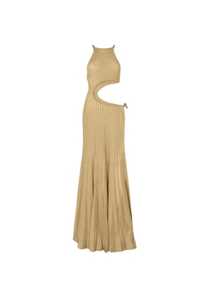 Roberto Cavalli cut-out snake-detail maxi dress - Gold