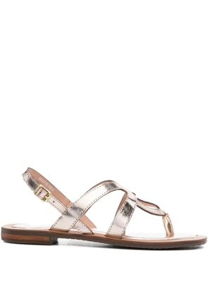 Geox Sozy leather buckled sandals - Gold
