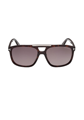 TOM FORD Brianna Sunglasses in Brown - Chocolate. Size all.