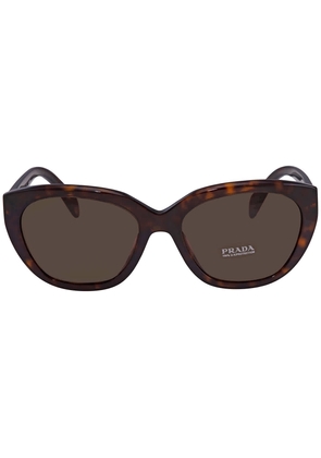 Prada Brown Cat Eye Ladies Sunglasses PR 16XS 2AU8C1 56