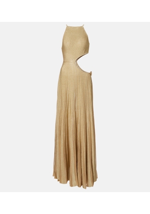 Roberto Cavalli Cutout ribbed-knit sheer lame gown