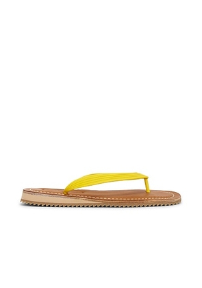 Miu Miu Infradito Sandal in Giallo - Yellow. Size 40 (also in 41).