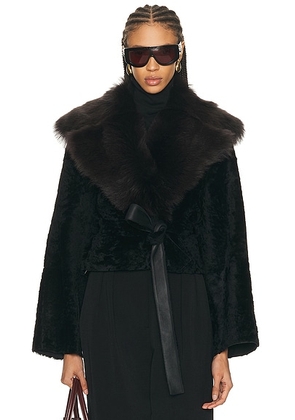 NOUR HAMMOUR Renata Coat in Noir Boheme - Black. Size M (also in ).