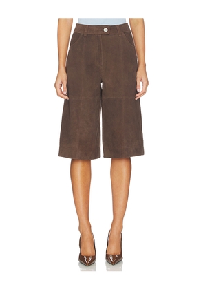 ALIGNE Arden Suede Culotte in Brown. Size 0. Also in 2, 4, 6.