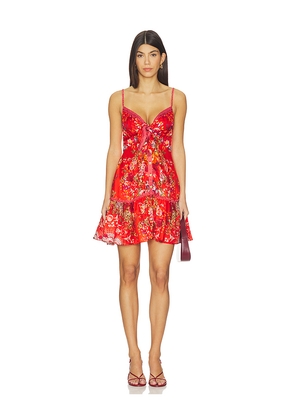 Camilla Tie Front Short Dress With Hem Ruffle in Ol&eacute; Ol&eacute; in Red. Size M. Also in S, XS.