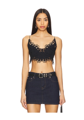Free People x Intimately FP Asteria Bralette in Black. Size M. Also in S.