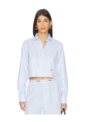 HOMMEgirls Original Cropped Shirt in Baby Blue. Size L. Also in M, S.
