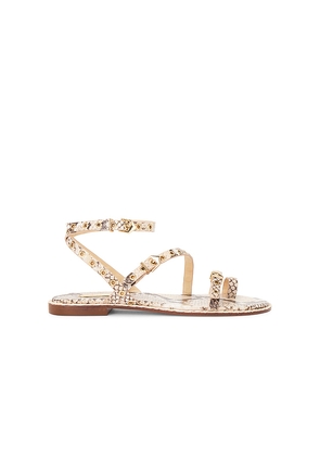 Schutz Annete Sandal in Beige. Size 5.5. Also in 9.5.