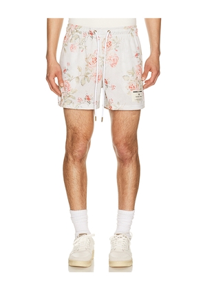 Ryoko Rain Cream Shorts in Cream. Size L. Also in M, S, XL/1X.