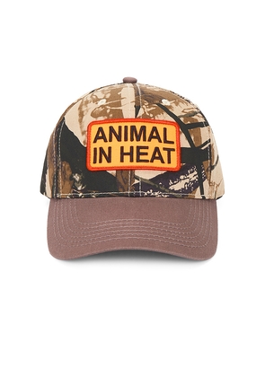 Pleasures Heat Snapback Hat in Brown.