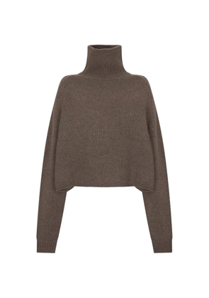 Lisa Yang roll-neck long-sleeve sweater - Brown