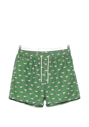 MC2 Saint Barth Shark on Shark print swim shorts - Green