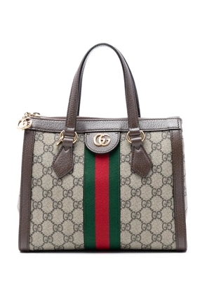 Gucci Pre-Owned 2016-2025 Small GG Supreme Ophidia satchel - Brown