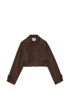 MSGM belted patterned coat - Brown