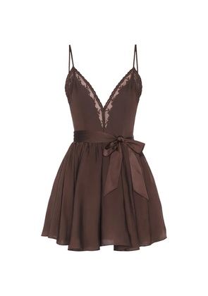 Bardot lace trim belted dress - Brown