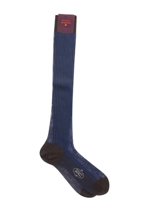 Gallo twin-rib cotton socks - Blue