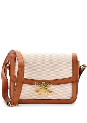 Celine Pre-Owned Triomphe Shoulder Bag Canvas with Leather Medium crossbody bag - Neutrals