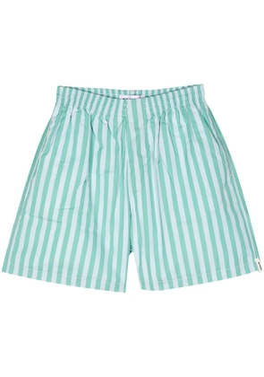 Sunnei striped cotton bermuda shorts - Green