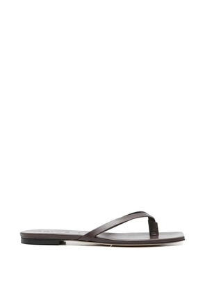 Aeyde Renee flip flop - Brown