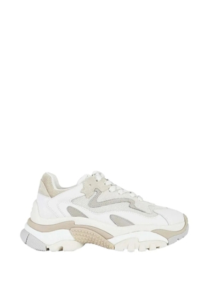 Ash panelled leather sneakers - White