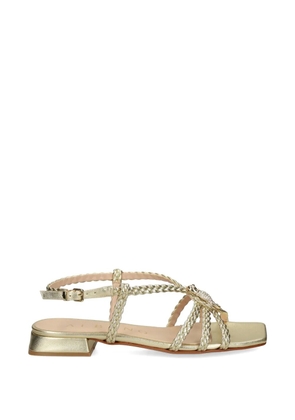 Albano braided sandals - Gold