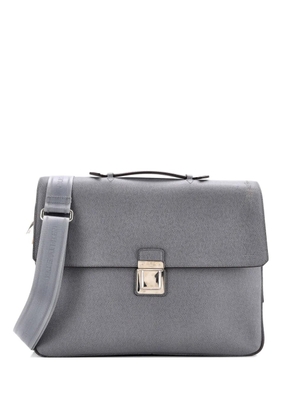 Louis Vuitton Pre-Owned Vassili Handbag Taiga Leather PM business bag - Grey