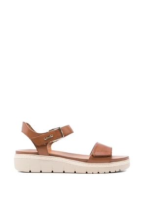 TAMARIS buckle strap leather sandals - Brown