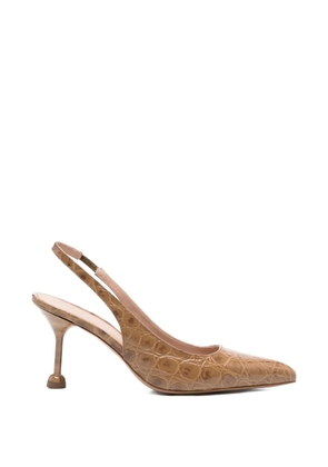Festa Milano Fannys slingback pointed pumps - Brown