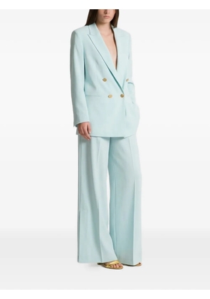 Alberta Ferretti wide-leg trousers - Blue